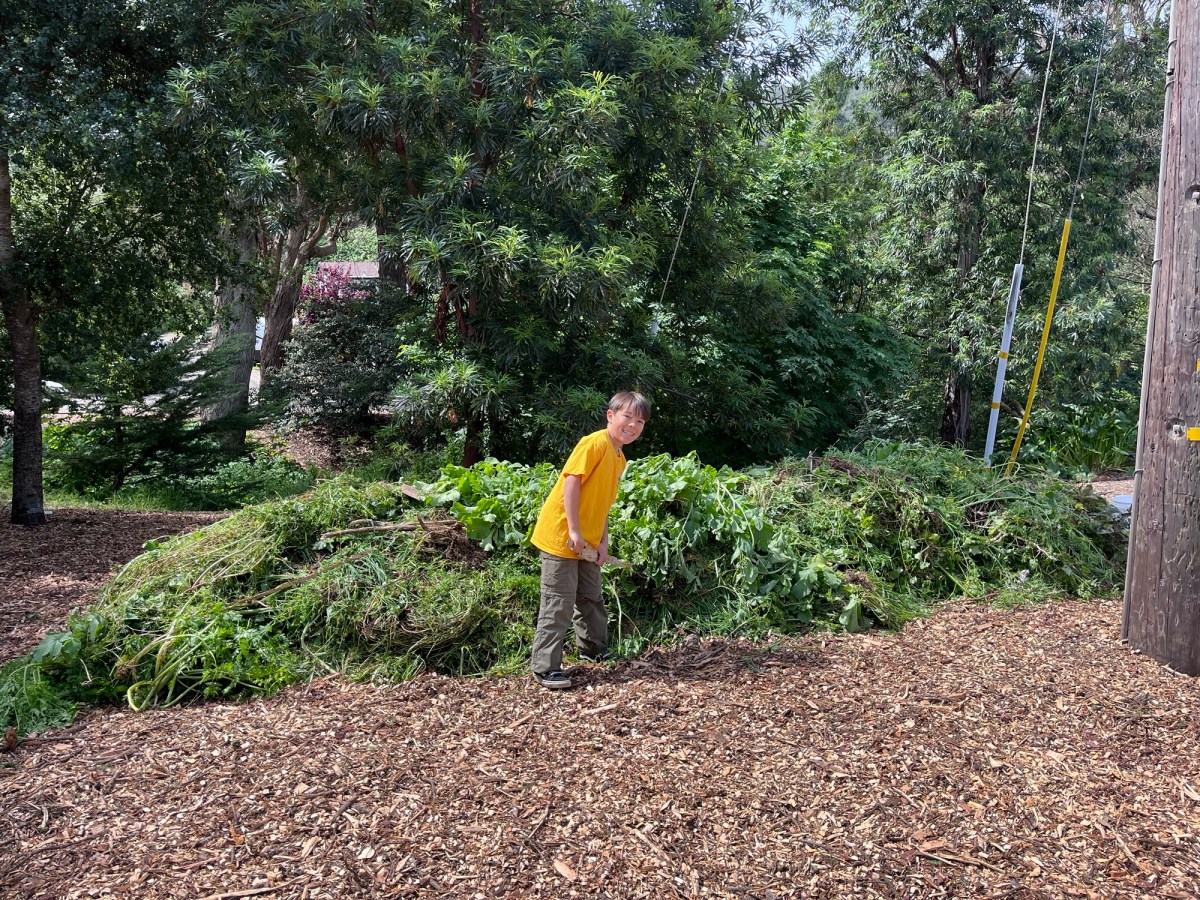 Earth Day habitat restoration event a big&nbsp;success!