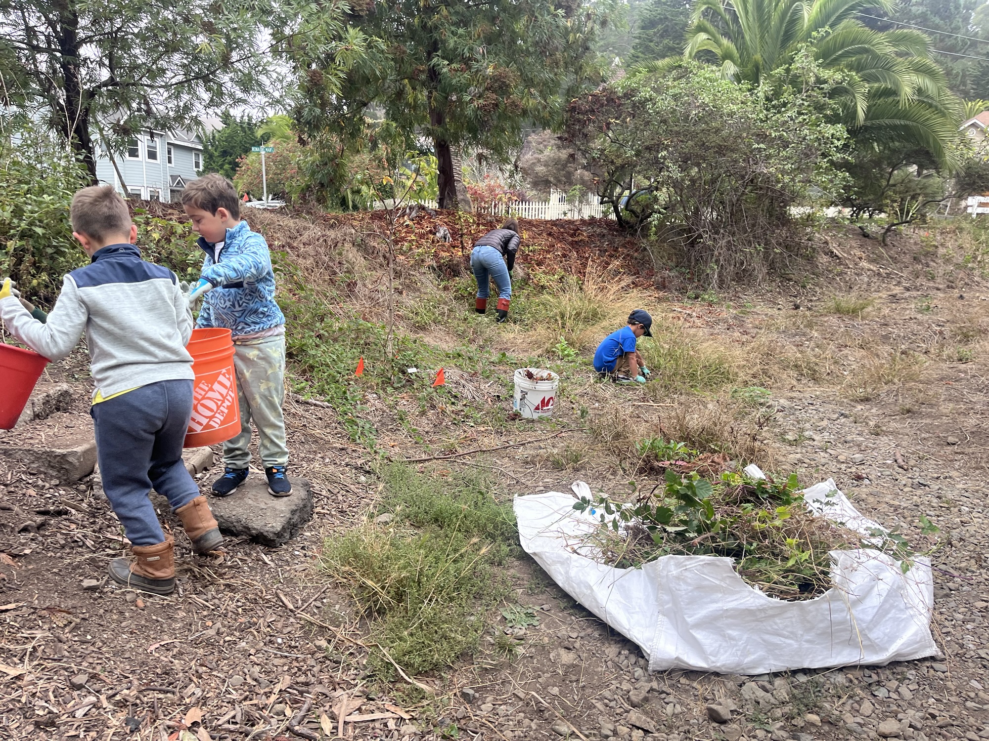 Three children and one adult pulling weeds and carrying buckets