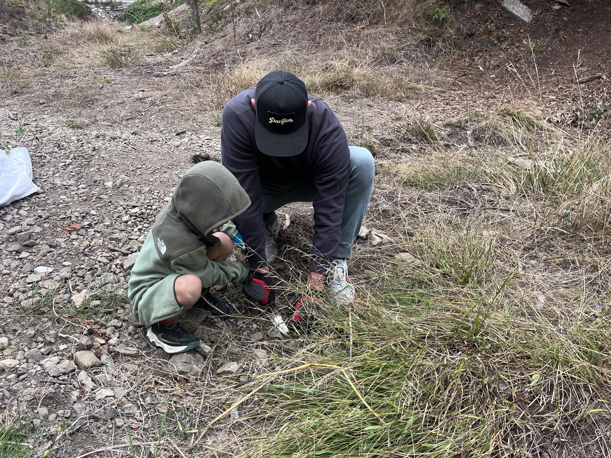 A man and child use hand tools to dig up plants